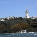 lighthouse_island_seal_machias_v_2373_can1426.jpg